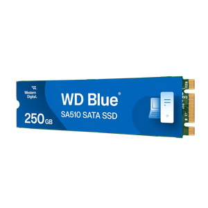 WD SSD 250GB Blue SA510 M.2 SATA 2280