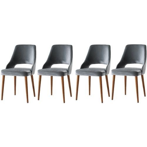 Açelya - Grey - 1 Grey Chair Set (4 Pieces) slika 1