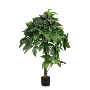 Bizzotto Cvijeće Pachira 120 cm u saksiji 0172861