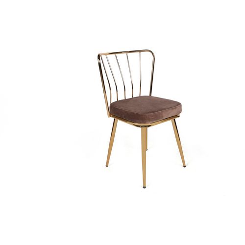 Yıldız-927 V4 Light Brown
Gold  Chair Set (4 Pieces) slika 2