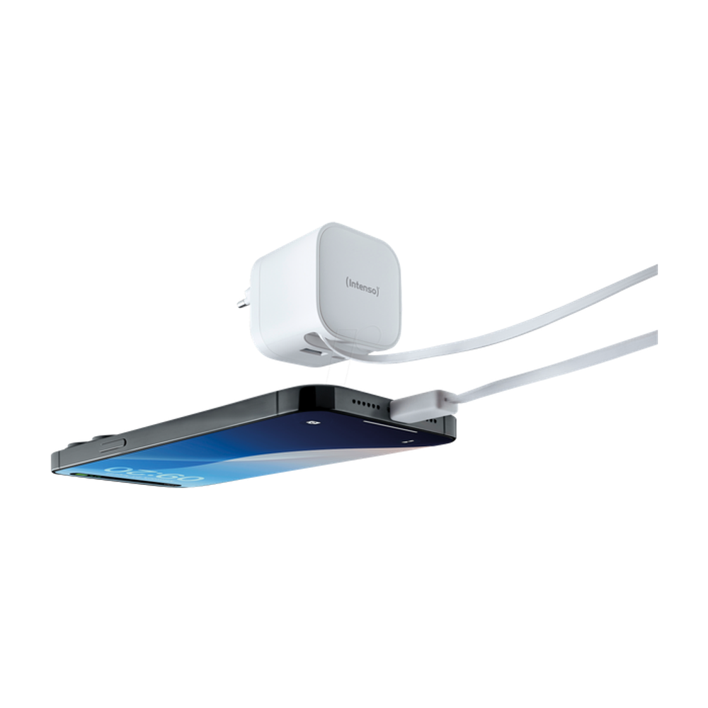 Intenso 65W GaN napajalnik z vgrajenim kablom USB-C, bel slika 7