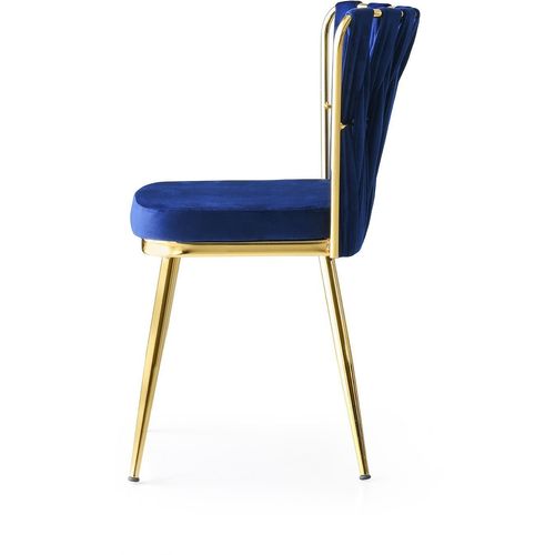 Kuşaklı - 209 V4 Gold
Navy Blue Chair Set (4 Pieces) slika 3