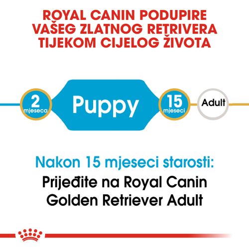 ROYAL CANIN BHN Golden Retriever Junior, potpuna hrana specijalno prilagođena potrebama štenaca golden retrivera, 12 kg slika 8