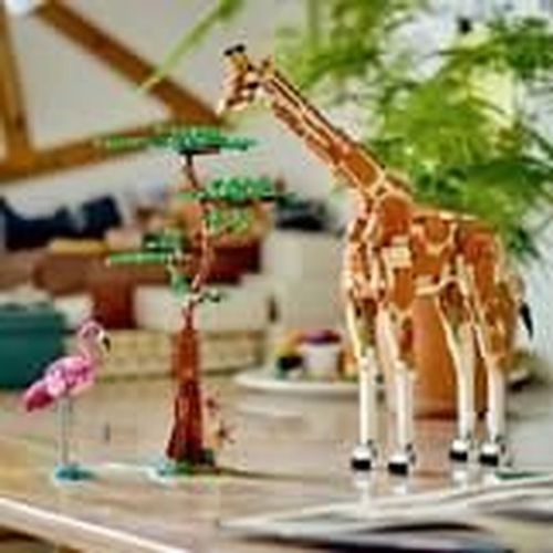 Playset Lego 31150 Creator Wild Animal Safari slika 2