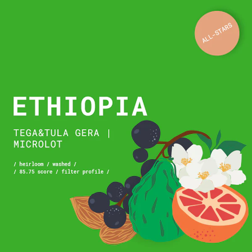 GOAT Story, Ethiopia Tega&Tula Gera Washed kava, Espresso, 500g slika 1