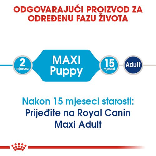 ROYAL CANIN SHN Maxi PUPPY, potpuna hrana za pse, specijalno za štence velikih pasmina (konačne težine od 26 do 44 kg)  do 15 mjeseci starosti, 15 kg slika 8