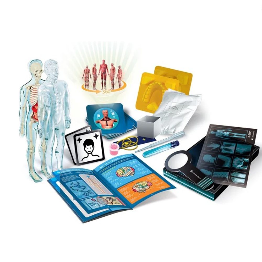 Clementoni CL75104 Science&Play Super Anatomy  slika 3