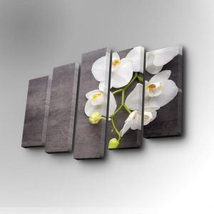 5PUC-031 Multicolor Decorative Canvas Painting (5 Pieces)