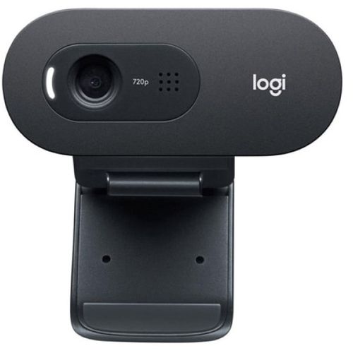 Web camera Logitech C505e 960-001372 slika 3