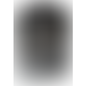 Rebel RC masažer prostate
