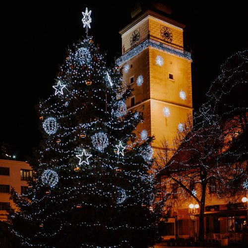 Springos božićne lampice, 1000 LED, 60 m, hladno bijele slika 5