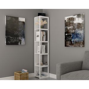 Texas - White, White White Bookshelf