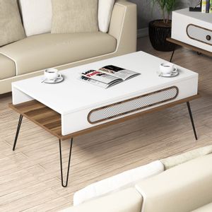 Ekol - White White Coffee Table