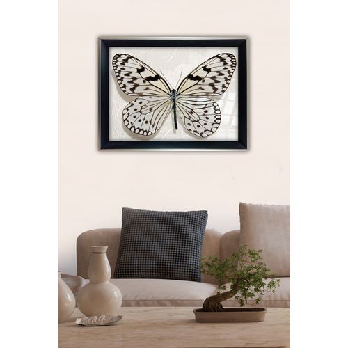 Vavien Artwork Slika na staklu 45x65 Big Butterfly slika 1