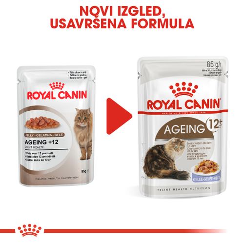 ROYAL CANIN FHN Ageing 12+ Jelly, potpuna hrana u vrećici za  odrasle mačke starije od 12 godina, komadići u želeu, 12x85 g slika 2