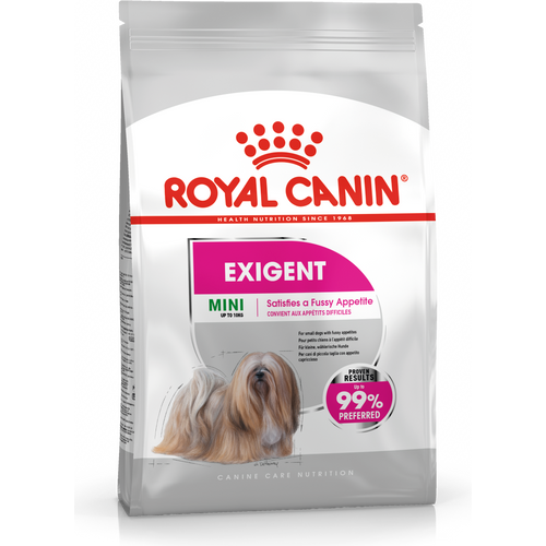 ROYAL CANIN CCN Mini Exigent, potpuna hrana za pse - Za odrasle i starije pse malih pasmina (od 1 do 10 kg) - Stariji od 10 mjeseci - Mali izbirljivi psi, 3 kg slika 1