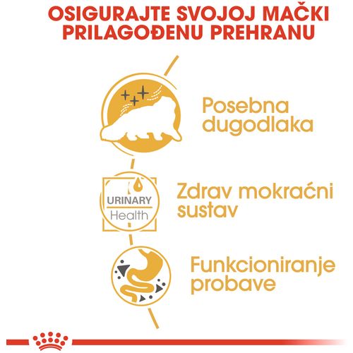 ROYAL CANIN FBN Persian, potpuna i uravnotežena mokra hrana za mačke, pašteta, specijalno za odrasle perzijske mačke starije od 12 mjeseci, 12x85 g slika 7