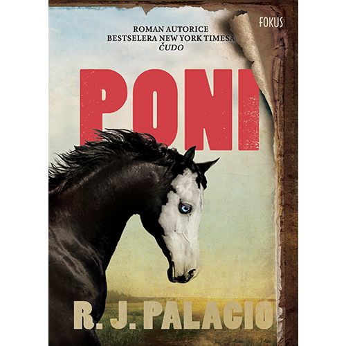 Poni, R. J. Palacio slika 1