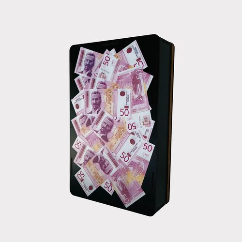 Poklon kasica prasica (kasica za novac) 50 RSD x 200 (10K RSD) slika 3