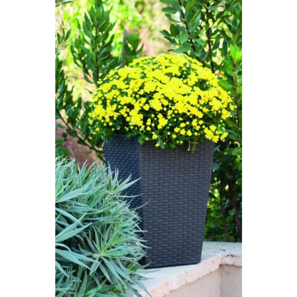 Keter Saksija siva 28x28x43cm rattan slika 1