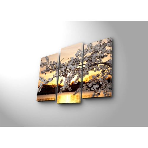 Wallity Slika ukrasna platno (3 komada), 3PATK-5 slika 2