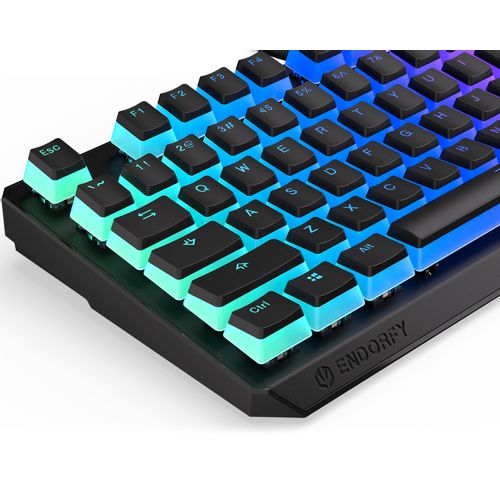 Endorfy Thock TKL Pudding RGB tastatura (EY5A004) slika 5