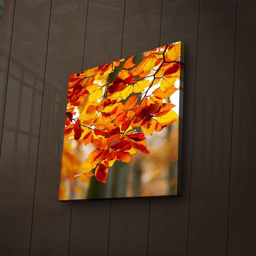 2828İACT-47 Multicolor Decorative Led Lighted Canvas Painting slika 1