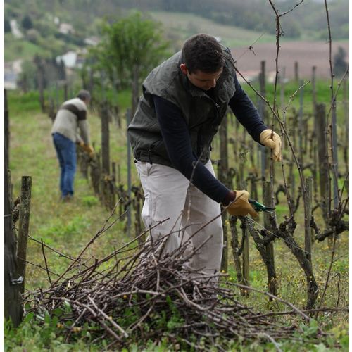 RUKAVICE VIGNE br. 9 ZA OBREZIVANJE LOZE ZIMI slika 3