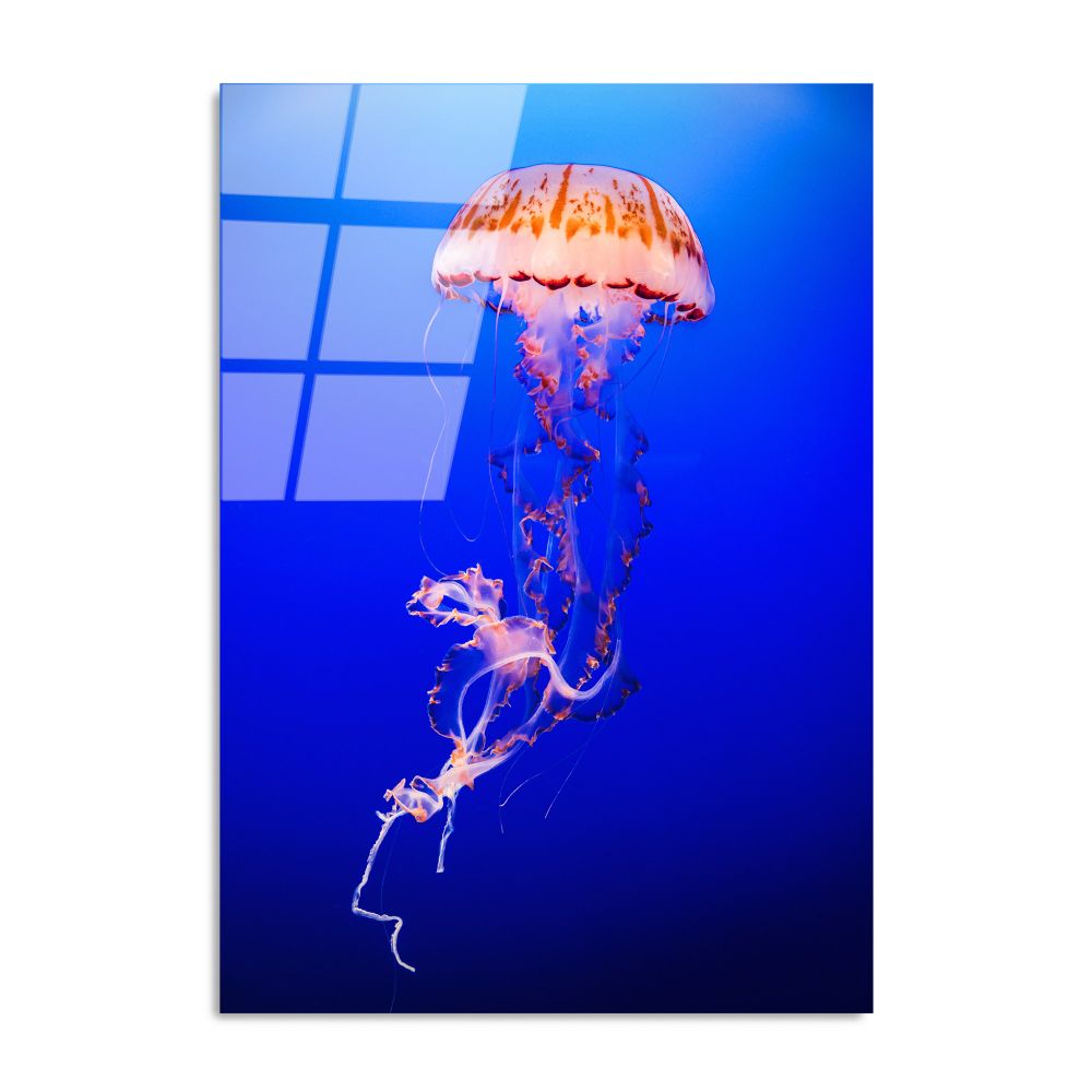 UV-154 Dekorativna Slika na Kaljenom Staklu, 70 x 100 cm, Višebojna slika 5