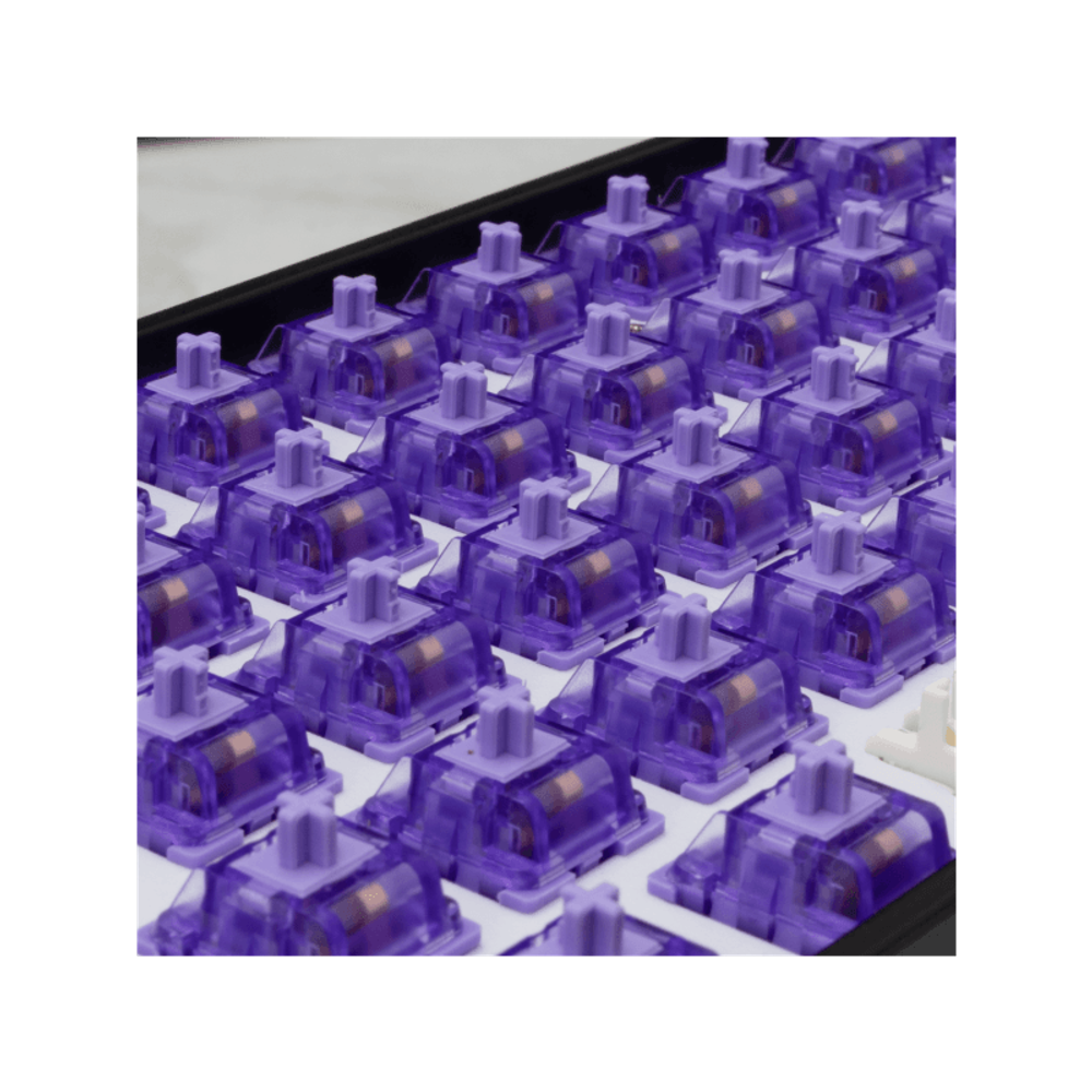 WHITE SHARK Mehanički prekidač za tastaturu PURPLEPULSE-65 / 65 KOM slika 3