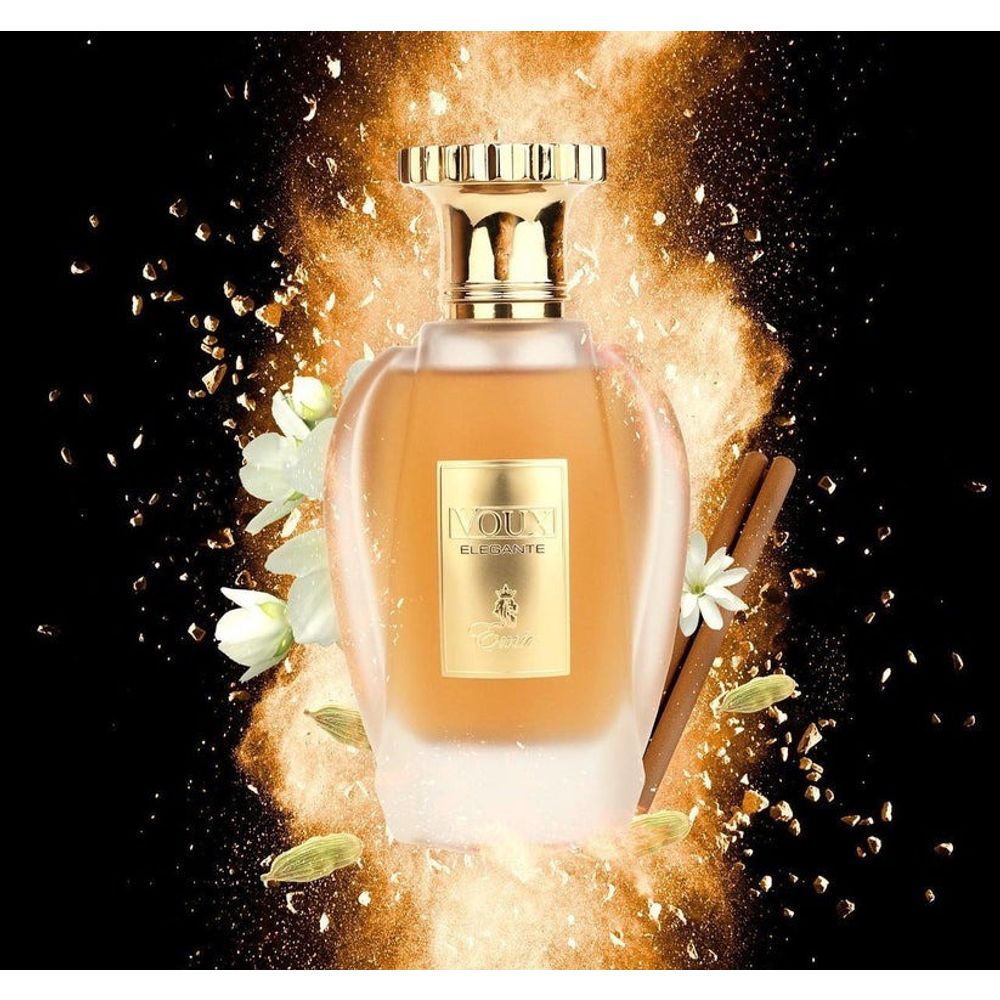 Paris Corner Emir Voux Elegante Eau de Parfum 100ml slika 3