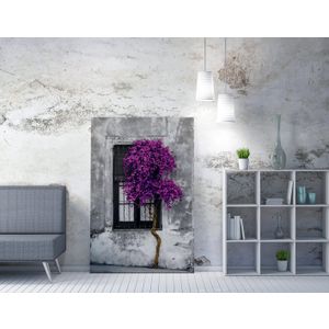 Dekorativna Slika na Platnu WY239 (50 x 70) u Više Boja