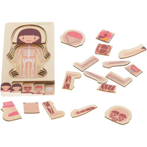 Montessori drvena slojevita slagalica za izgradnju tijela djevojčice slika 6