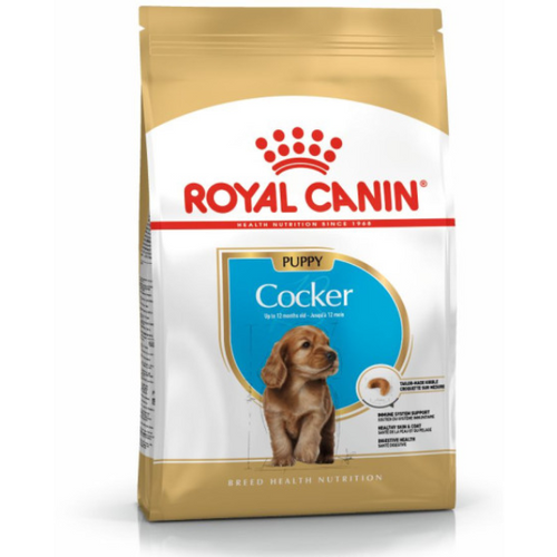 Royal Canin COCKER JUNIOR – Hrana za koker španijele do 12 meseci 3kg slika 1