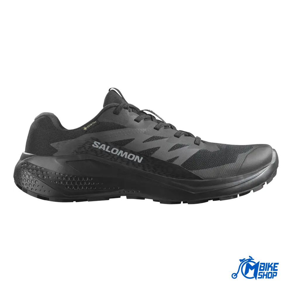 Salomon Muške patike Alphaglide GTX, Black/Asphalt/Black slika 1