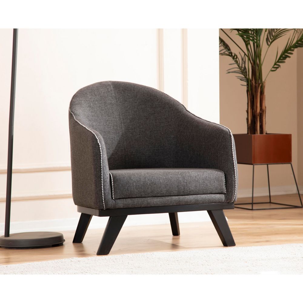 Leon - Antracitni Wing Chair slika 1