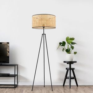 AYD-3321 Cream
Black Floor Lamp