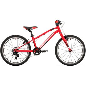 ROCK MACHINE THUNDER 20"