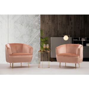 Atelier Del Sofa Fotelja wing PICCOLI ruzičasta, Piccoli (Bony)