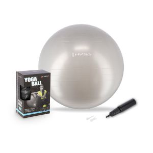 Yb01n 65cm siva lopta za teretanu hms