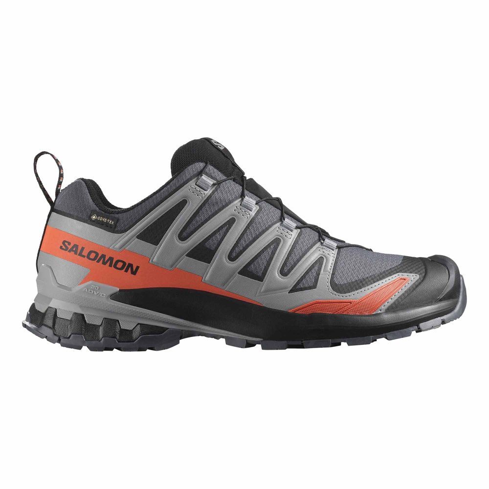 Salomon Muške patike XA Pro 3D V9 GTX, Turbulence/Black/Burnt Ochre slika 1