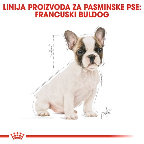 ROYAL CANIN BHN French Bulldog Puppy, potpuna hrana za pse specijalno za štence francuskog buldoga u dobi do 10 mjeseci, 3 kg slika 4