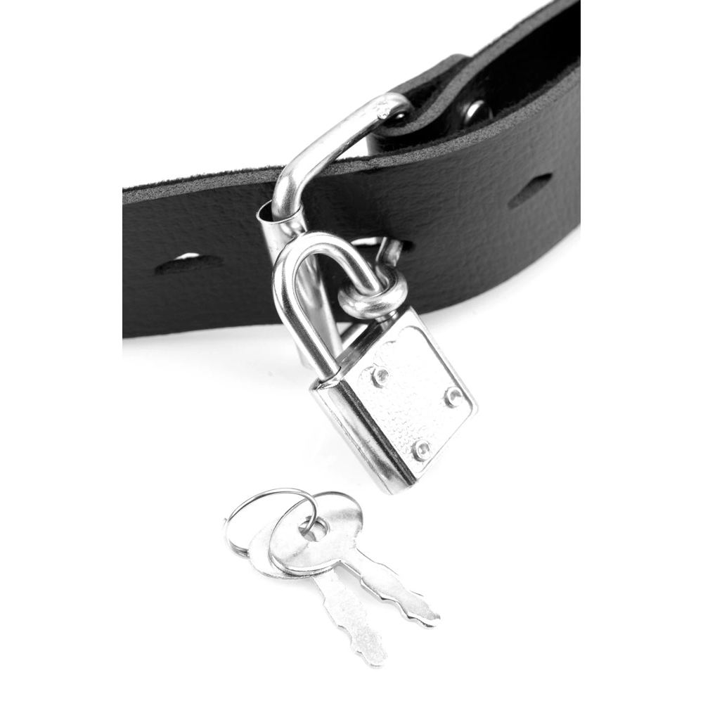 Fetish Fantasy Series FFS Deluxe Ball Gag s dildom slika 5