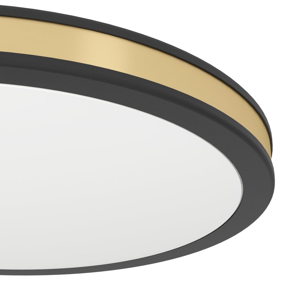 Eglo Pescaito zidna/stropna/1, led, 12w, 1350lm, prom 280, crna/zlatna/čelik  slika 4