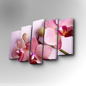 5PUC-066 Multicolor Decorative Canvas Painting (5 Pieces)