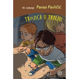 Trojica u trnju, Pavao Pavličić