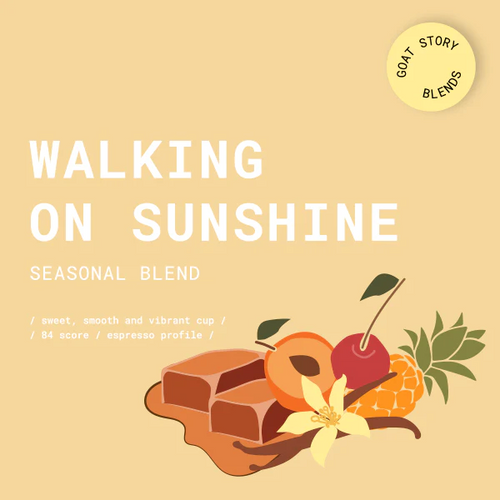 GOAT Story, Walking on Sunshine, kava, Filter, 500g slika 1