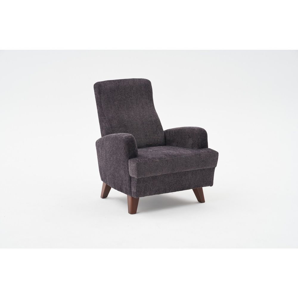 Kana - Antracitni Wing Chair slika 5