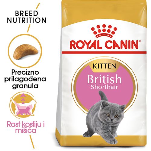 ROYAL CANIN FBN British Shorthair KITTEN, potpuna i uravnotežena hrana za mačiće, specijalno za mačiće pasmine Britanska krtkodlaka mačka u dobi do 12 mjeseci, 2 kg slika 6