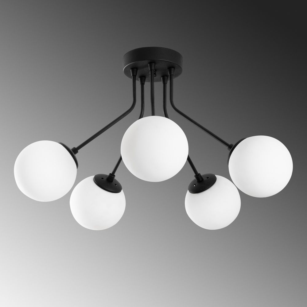 Orıon - Crni Luster 13960 slika 6